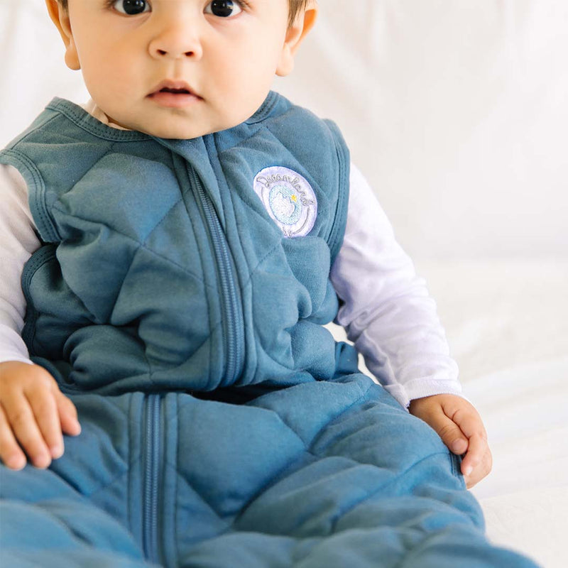 Dream Weighted Sleep Sack Ocean Blue – Dreamland Baby Canada